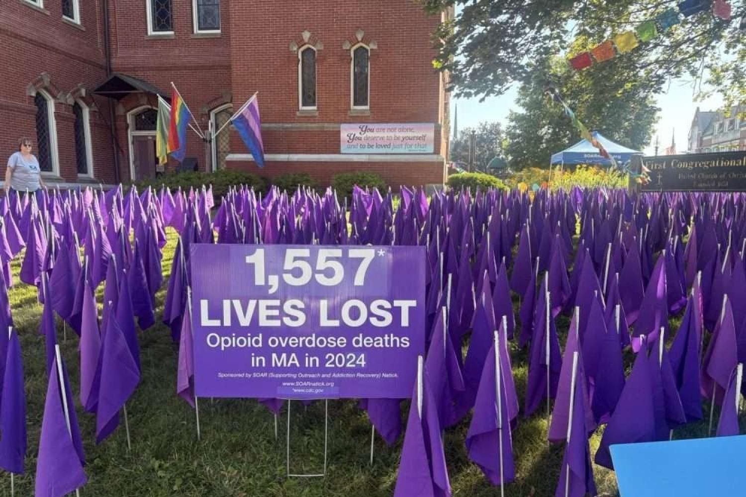 Purple Flag Project