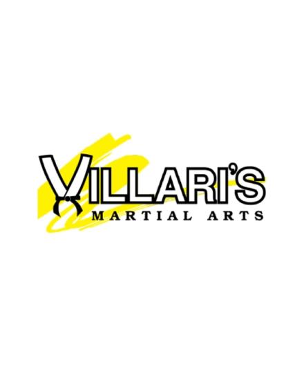 Villaris Martial Arts Natick 1